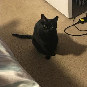 Meet your Posher, Danielle